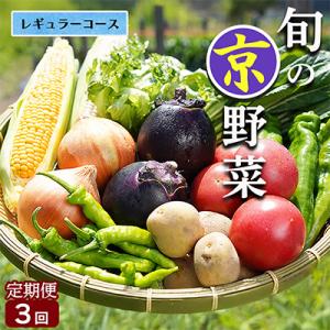 ふるさと納税 亀岡市 【3回定期便】旬の京野菜 毎月お届けレギュラーコース(全3回)