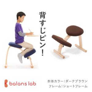 ほぼ未使用☆バランスラボ　バランスイージー　ダークブラウン バランスラボ バランスラボ製バランス イージー：アフターパーツ／調節