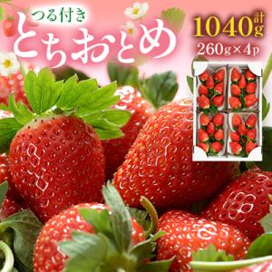 ふるさと納税 鹿沼市 つる付きとちおとめ260g×4パック(3月〜5月順次発送)