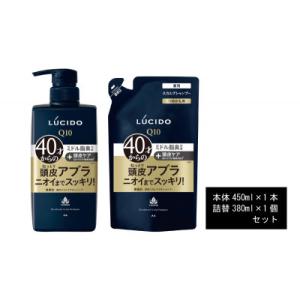 ふるさと納税 福崎町 マンダムのルシード 薬用スカルプデオシャンプー(本体1個+詰替用1個)MA-1...
