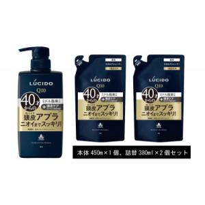 ふるさと納税 福崎町 マンダムのルシード 薬用スカルプデオシャンプー(本体1個+詰替用2個)MA-1...