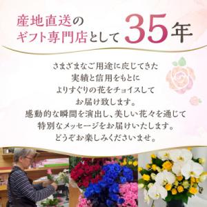 ふるさと納税 田原市 ラン5本とバラ50本の花...の詳細画像2