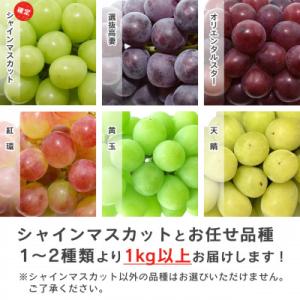 ふるさと納税 寒河江市 訳あり・シャインマスカ...の詳細画像1
