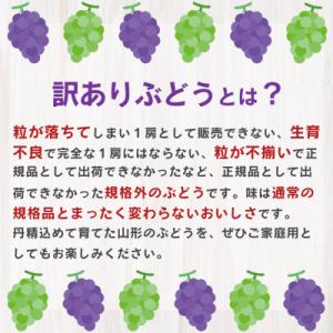 ふるさと納税 寒河江市 訳あり・シャインマスカ...の詳細画像2