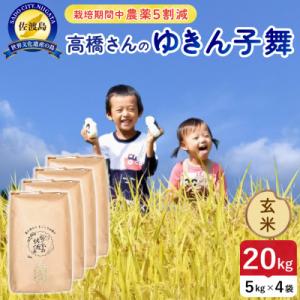 ふるさと納税 佐渡市 【新米】令和8年産 佐渡島産ゆきん子舞 玄米20kg 栽培期間中農薬5割減 【食の宝島佐渡】