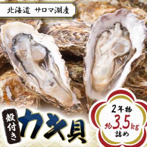 ふるさと納税 北見市 サロマ湖産殻付きカキ貝　大2年物　約3.5kg詰め【先行受付2025年10月中...