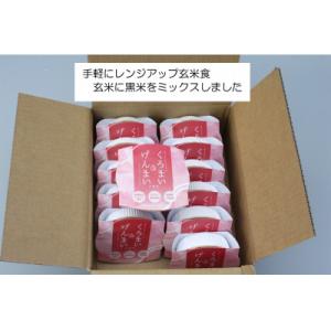 ふるさと納税 村上市 <お手軽玄米&gt...の詳細画像1