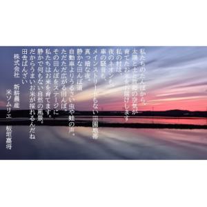 ふるさと納税 村上市 <お手軽玄米&gt...の詳細画像3