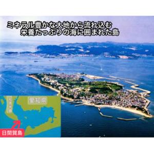 ふるさと納税 南知多町 日間賀島名産・島のり【...の詳細画像2