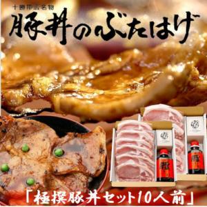ふるさと納税 帯広市 豚丼のぶたはげ「極撰豚丼セット10人前」