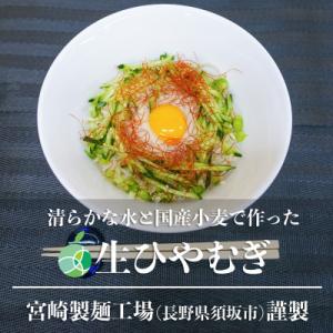 ふるさと納税 長野県 長野県　須坂市生ひやむぎ×5袋(10食)　木島平村野沢菜漬バケツ×1個(約1....