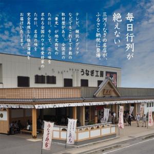 ふるさと納税 西尾市 大満足1kg愛知県三河一...の詳細画像2