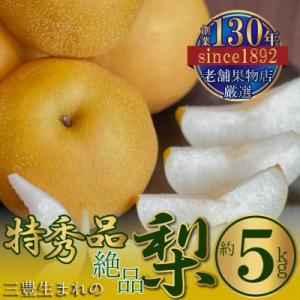 ふるさと納税 三豊市 【2026年8月中旬より順次発送】特秀品!三豊市生まれの絶品「梨」約5kg