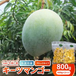 ふるさと納税 今帰仁村 【急速冷凍・ブロックタイプ】今帰仁産キーツマンゴー800g(400g×2パッ...
