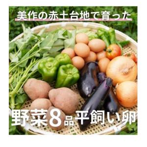 ふるさと納税 美作市 【畑から直送】味覚を育む旬の野菜約8種と自然卵10コ入り