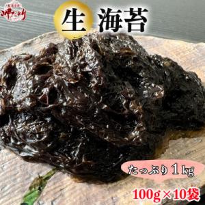 ふるさと納税 南知多町 【数量限定】 生海苔 (冷凍) 100g×10袋(1kg) 岬だより
