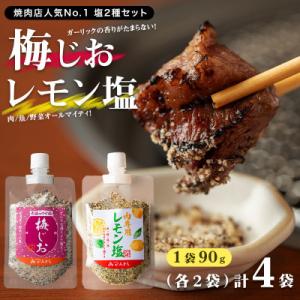 ふるさと納税 泉佐野市 焼き肉専門店 梅じお レモン塩 スパイスセット 90g×合計4袋 お試し