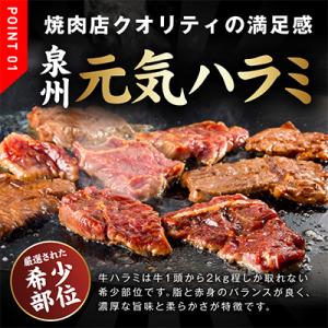 ふるさと納税 泉佐野市 牛ハラミ肉 1.5kg...の詳細画像1