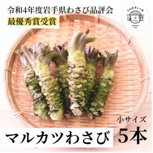 ふるさと納税 遠野市 マルカツわさび 小サイズ 5本 真空 岩手県遠野市産【こんたでぃーの遠野】｜Yahoo!ふるさと納税