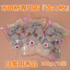 ふるさと納税 豊丘村 【先行受付】【市田柿専門店　金の柿】市田柿　自家用300g×10袋