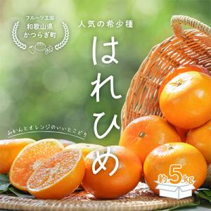ふるさと納税 高野町 先行受付!　はれひめ(みかんの希少種)　秀品　25個〜30個入　約5kg