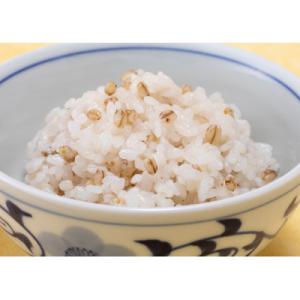 ふるさと納税 東温市 媛もち麥5kg(1kg×...の詳細画像2