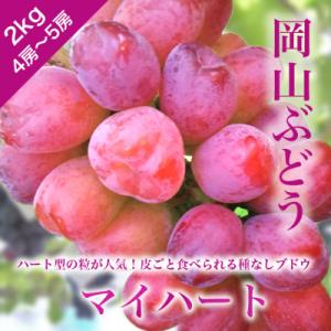 ふるさと納税 勝央町 訳あり　岡山ぶどう＜マイハート＞　2kg(4〜5房)　種なし皮ごと　栽培期間中化学肥料不使用