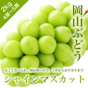ふるさと納税 勝央町 訳あり　岡山ぶどう＜シャインマスカット＞　2kg(4〜5房)　種なし皮ごと　栽培期間中化学肥料不使用