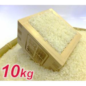 ふるさと納税 館山市 【令和7年産】お米マイスター厳選 一等米コシヒカリ 精米 10kg