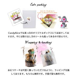 ふるさと納税 坂井市 【出産祝】Classic...の詳細画像2