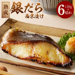 ふるさと納税 泉佐野市 熟成 銀鱈 西京漬け 120g×6切れ