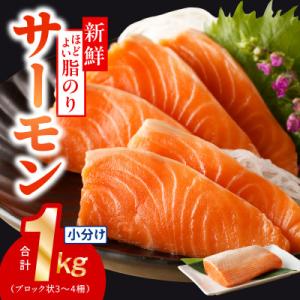 ふるさと納税 泉佐野市 サーモン 1kg ポーション 小分け 刺身用 訳あり サイズ不揃い 099H...