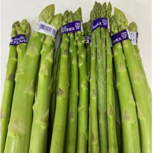 ふるさと納税 坂出市 ご家庭用グリーンアスパラ約 1kg × 2箱(3L 〜 S 混合)