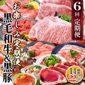 ふるさと納税 枕崎市 定期便(6回配送)　枕崎お楽しみ定期便(黒毛和牛・黒豚・加工品etc) FF-6003