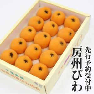 ふるさと納税 館山市 【先行受付】4月下旬より順次発送　温室栽培「房州びわ」 L・2Lサイズ　化粧箱...