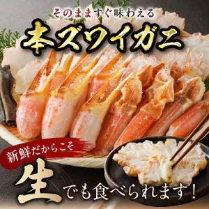ふるさと納税 北見市 【訳あり】冷凍本ズワイガ...の詳細画像2