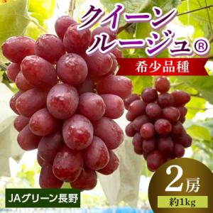 ふるさと納税 長野市 JAグリーン長野　クイーンルージュ(R)　2房(約1kg)　2026年9月中旬より発送