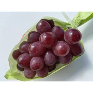 ふるさと納税 長野市 JAグリーン長野 クイー...の詳細画像1