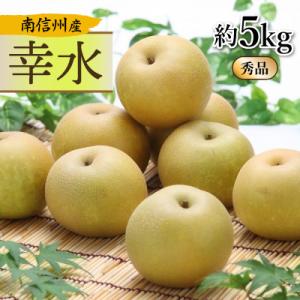 ふるさと納税 飯田市 【南信州産】幸水　秀品　約5kg　(8〜16玉)　【2026年8月下旬より順次発送】
