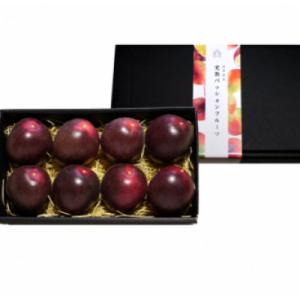 ふるさと納税 館山市 【先行受付】秀品パッションフルーツ 「80g前後の大玉」8個入/2026年8月...