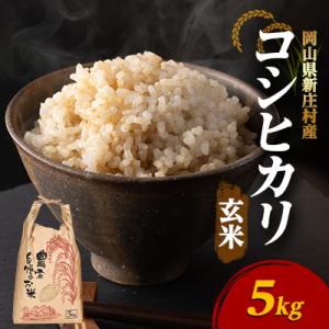 ふるさと納税 新庄村 【令和7年産】コシヒカリ 村の「一等米」(玄米5kg×1袋) 岡山県産のお米