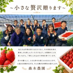 ふるさと納税 牧之原市 完熟冷凍いちご3kg!...の詳細画像3