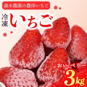 ふるさと納税 牧之原市 ビタミンC含有量No.1...の商品画像