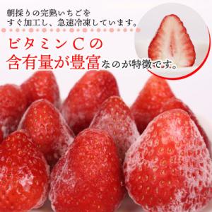 ふるさと納税 牧之原市 ビタミンC含有量No....の詳細画像1