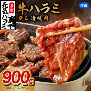 ふるさと納税 泉佐野市 【ファミリー向け】冷蔵配送 牛ハラミ タレ漬け 900g 小分け 300g×...
