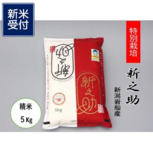 ふるさと納税 村上市 【新米受付・令和8年産米】食味鑑定士いたがき謹製　岩船産特別栽培　新之助白米5kg　1039009N