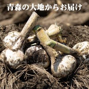 ふるさと納税 六戸町 青森県産 訳ありバラにん...の詳細画像2