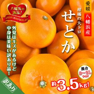ふるさと納税 八幡浜市 2026年2月発送開始　柑橘の大トロ!「せとか」約3.5キロ【訳あり品・家庭...