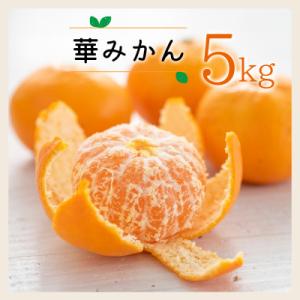 ふるさと納税 八幡浜市 コウ果樹園の華みかん5kg【A33-38】｜Yahoo!ふるさと納税
