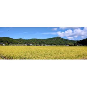 ふるさと納税 四万十町 7年産樽井商店の仁井田...の詳細画像1